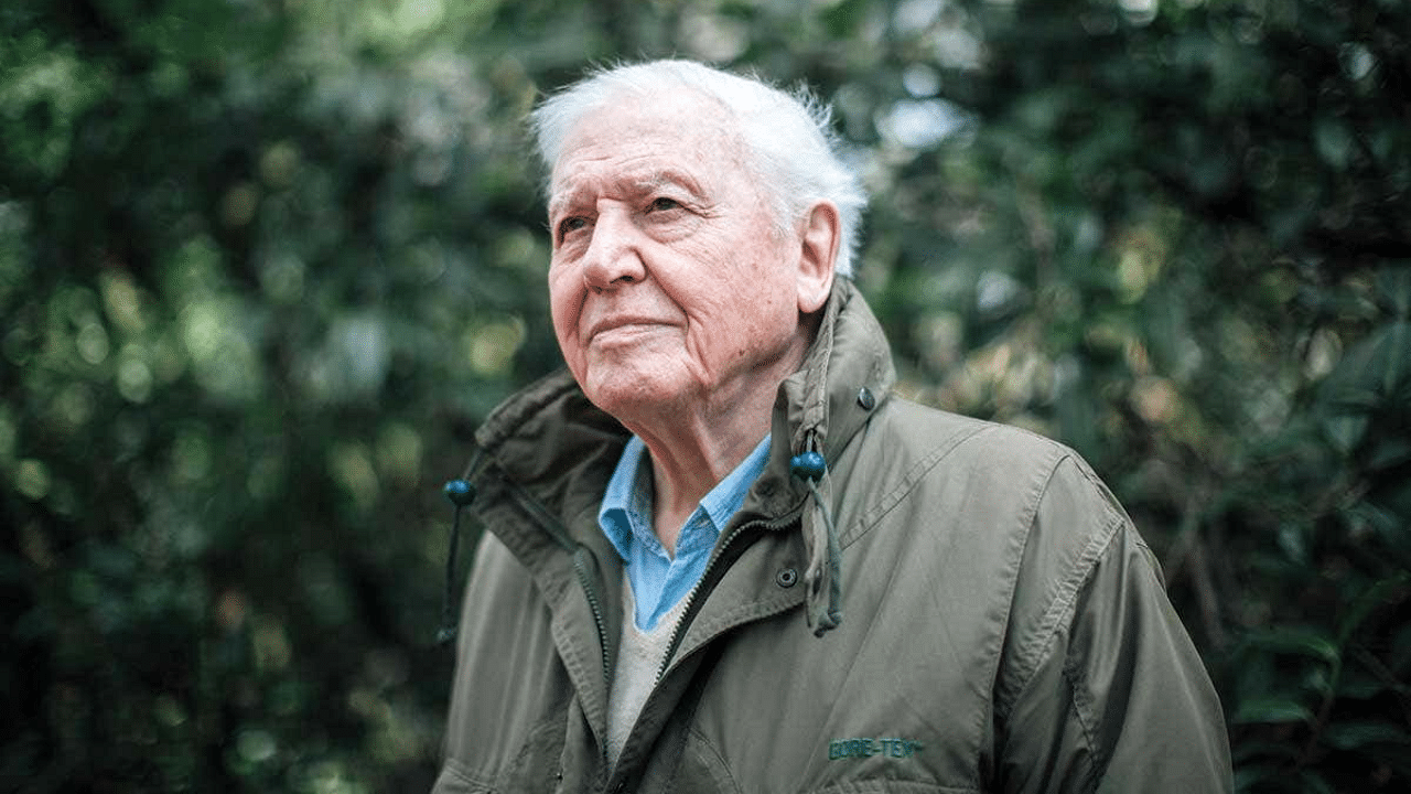 British broadcaster David Attenborough. Credits: File Photo