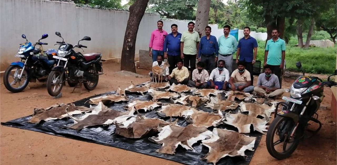 The arrested along with seized black buck pelts. Credit: DH Photo