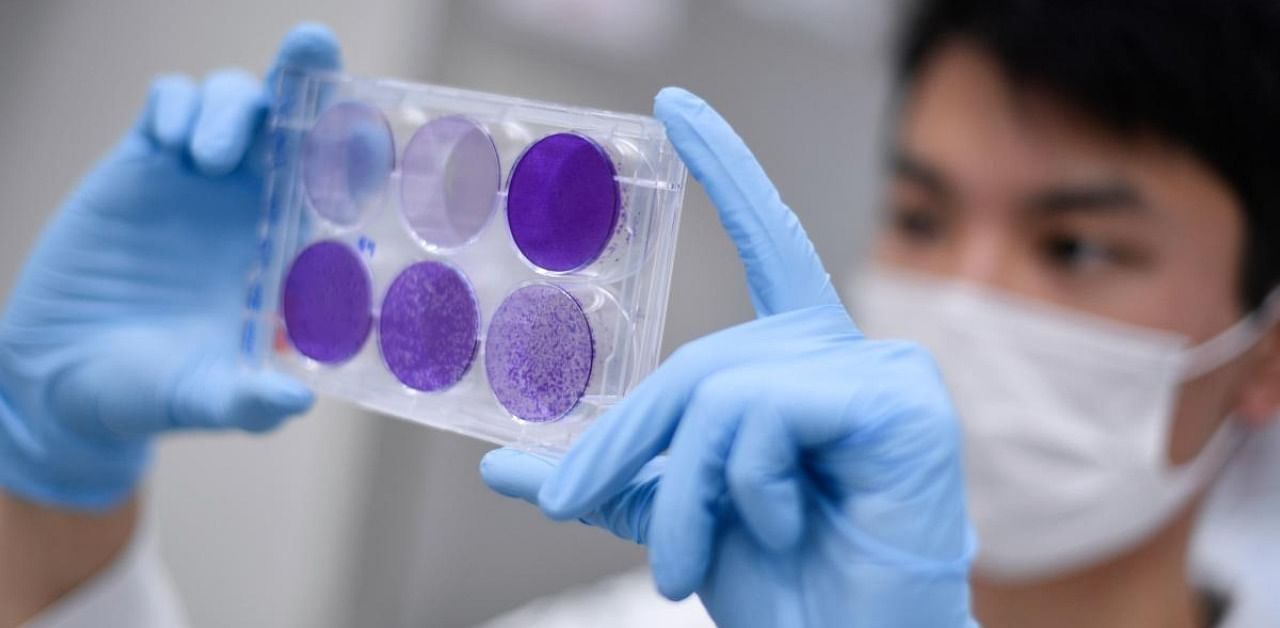 A researcher works on virus replication in order to develop a vaccine against the coronavirus, in Belo Horizonte, state of Minas Gerais, Brazil. Credit: AFP