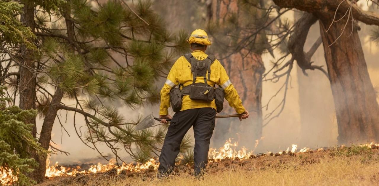 A firefighter keeps watch over creeping flames during the Bobcat Fire in the Angeles National Forest. Credit: AFP