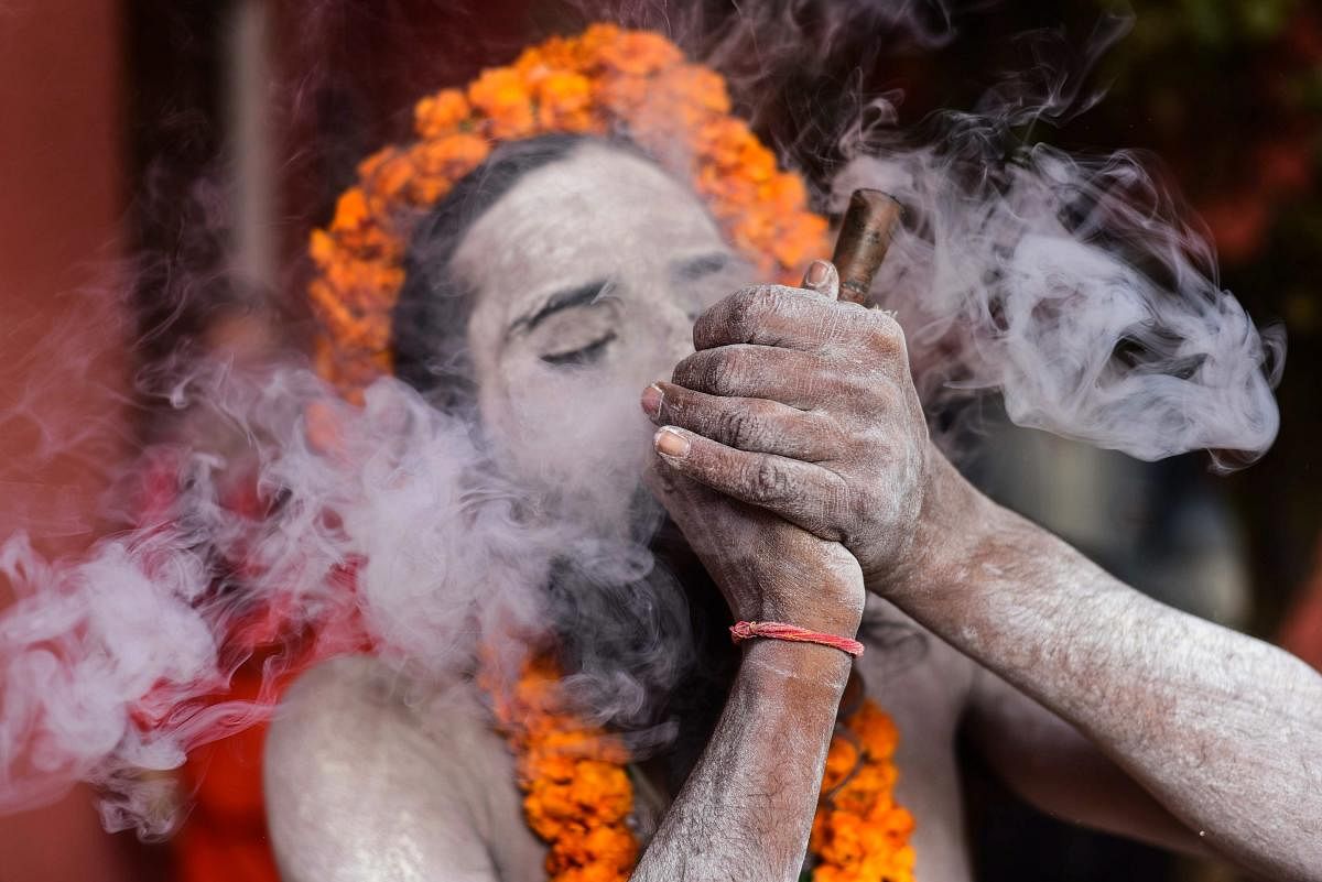 Many legalisation campaigners believe that the ‘war on drugs’ is hypocritical as marijuana has deep ties with religiosity in India and is often consumed by godmen. (Above) A Naga sadhu smokes up at the Kumbh Mela 2019.