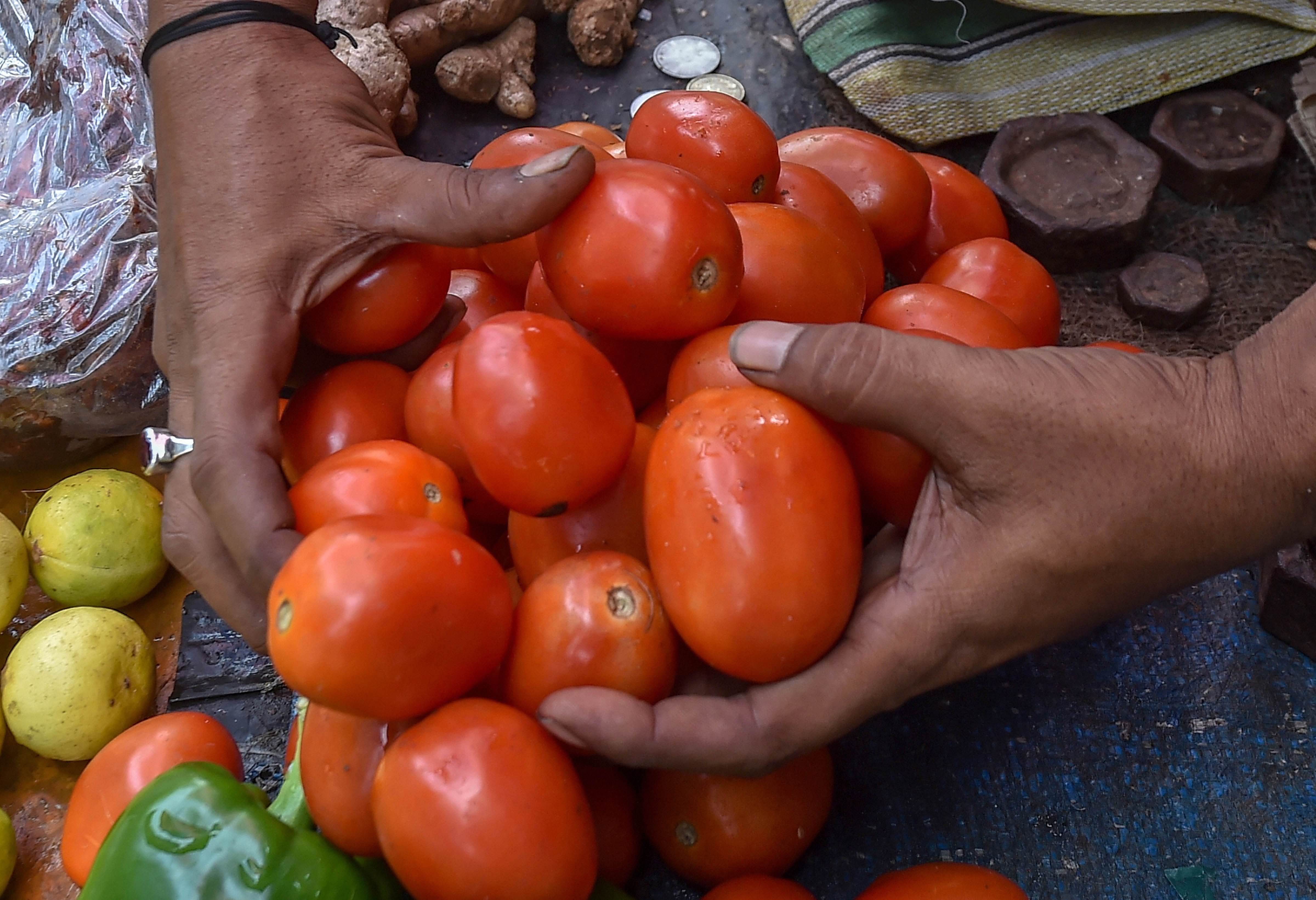 A vegetable vendor sorts tomatoes for a customer at a market. Credits: PTI Photo