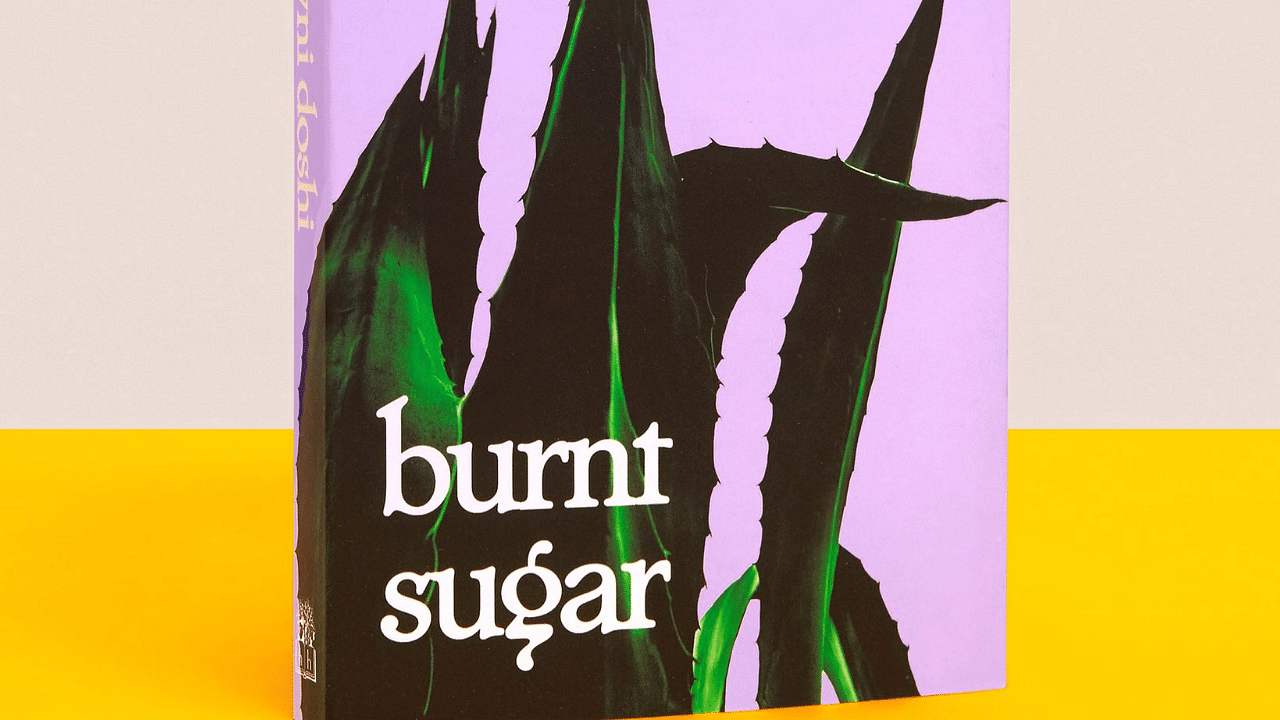 Burnt Sugar by Indian-origin author Avni Doshi. Credits Twitter/Avni Doshi