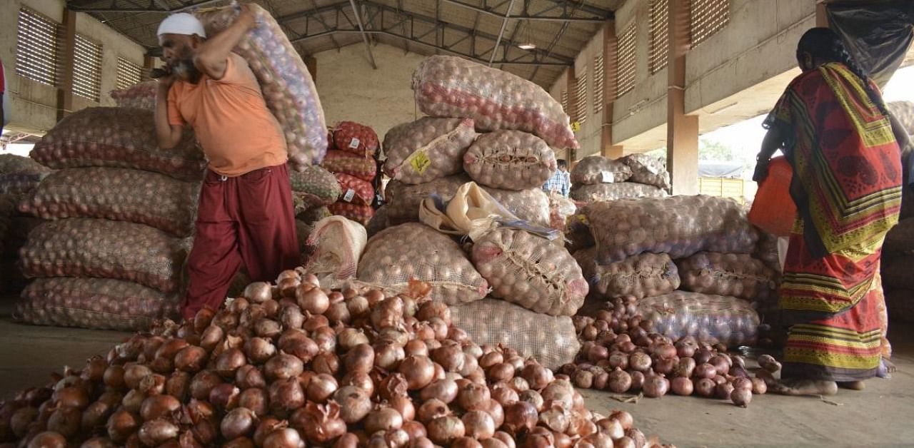 The government on Monday banned the export of all varieties of onions with immediate effect to increase availability and curb prices of the bulb in the domestic market. Credit: PTI