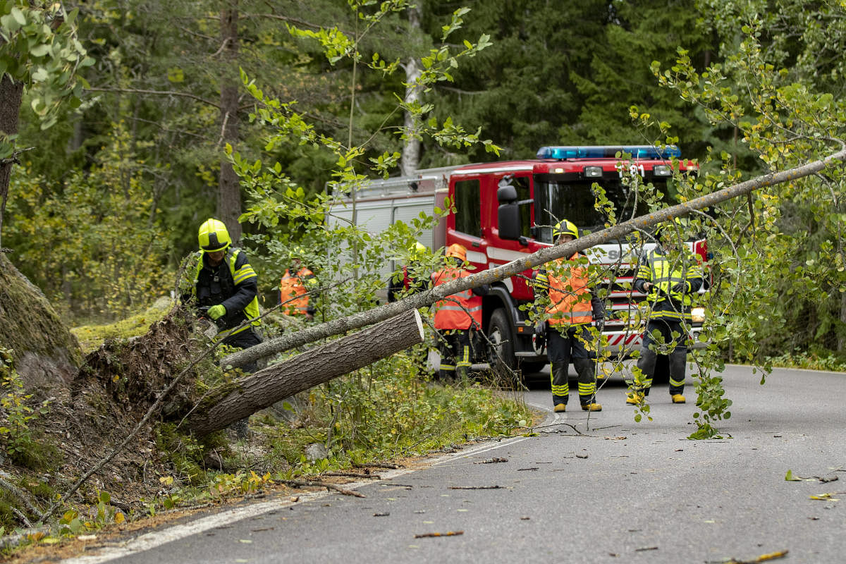 Members of the fire brigade cut up a tree which has fallen during high winds on the island of Ruissalo in Turku, Finland. Credit: Reuters