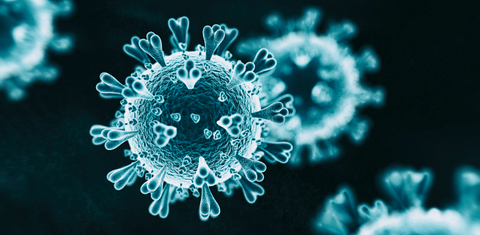 Microscopic view of coronavirus. Credit: iStock