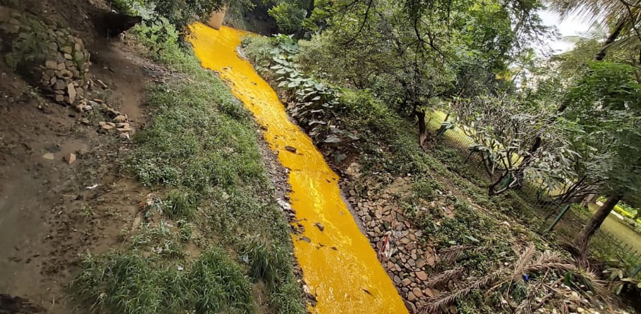 Polluted Vrishabhavathi river. Credit: DH Photo