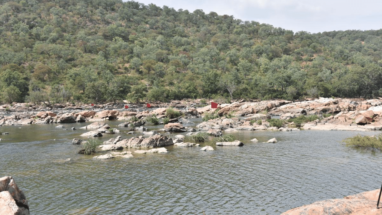 A view of the site, near Mekedatu in Ramanagara district, identified by Karnataka government for the construction of the Rs 9,000-crore balancing reservoir and drinking water project. Credits: DH Photo