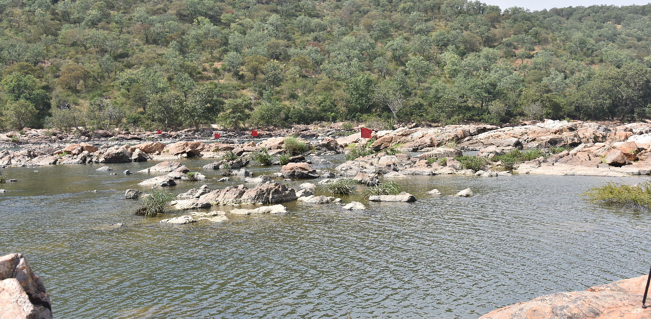 The spot identified by Karnataka Government for the project of construction of balancing reservoir cum drinking water at Mekedatu in Ramanagara District. Credit: DH Photo
