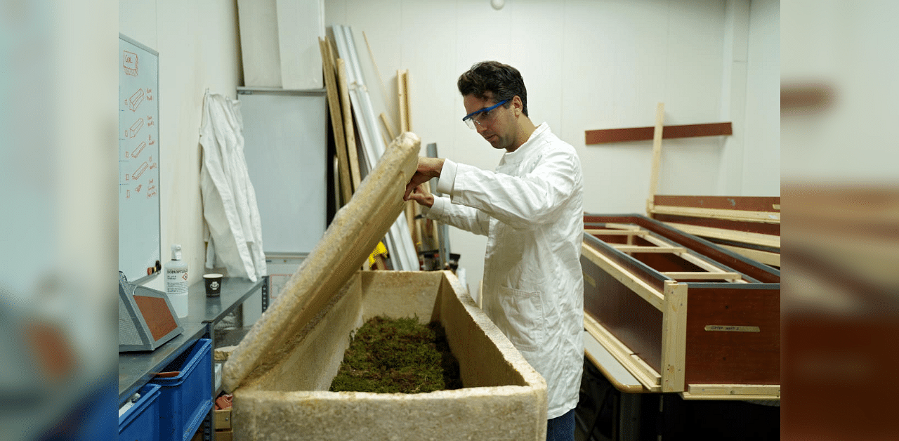 Bob Hendrikx, Innovator & Biodesigner at YES! Delft Incubator of TU laboratory opens a Loop Cocoon, a living coffin made of mycelium, in Delft Netherlands. Credit: Reuters