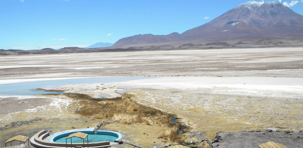 Scientists relocated the diminutive Hall's water frog, named for the American researcher and collector Frank Gregory Hall who discovered the species in 1935, in a tiny hot spring oasis near Ollagüe in Chile's Atacama desert. Credit: Reuters Photo