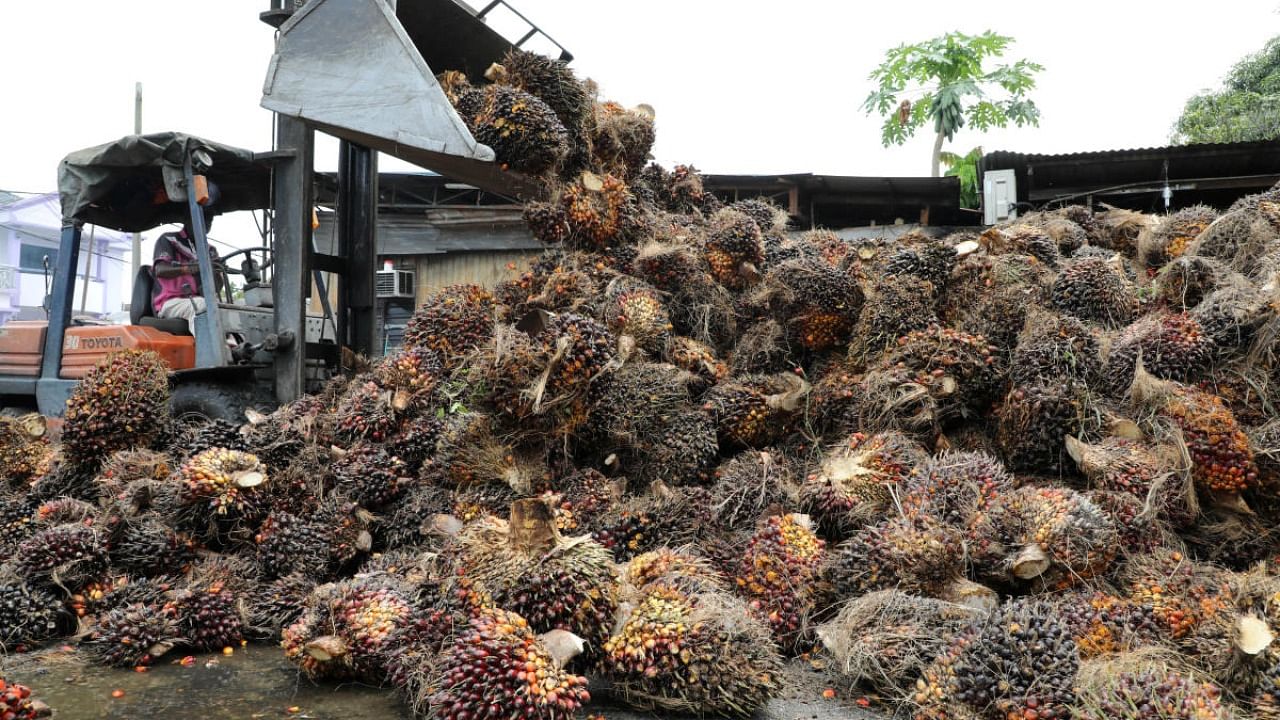 worker unloads palm oil fruit bunches at a factory in Tanjung Karang. Credit: Reuters/file photo.