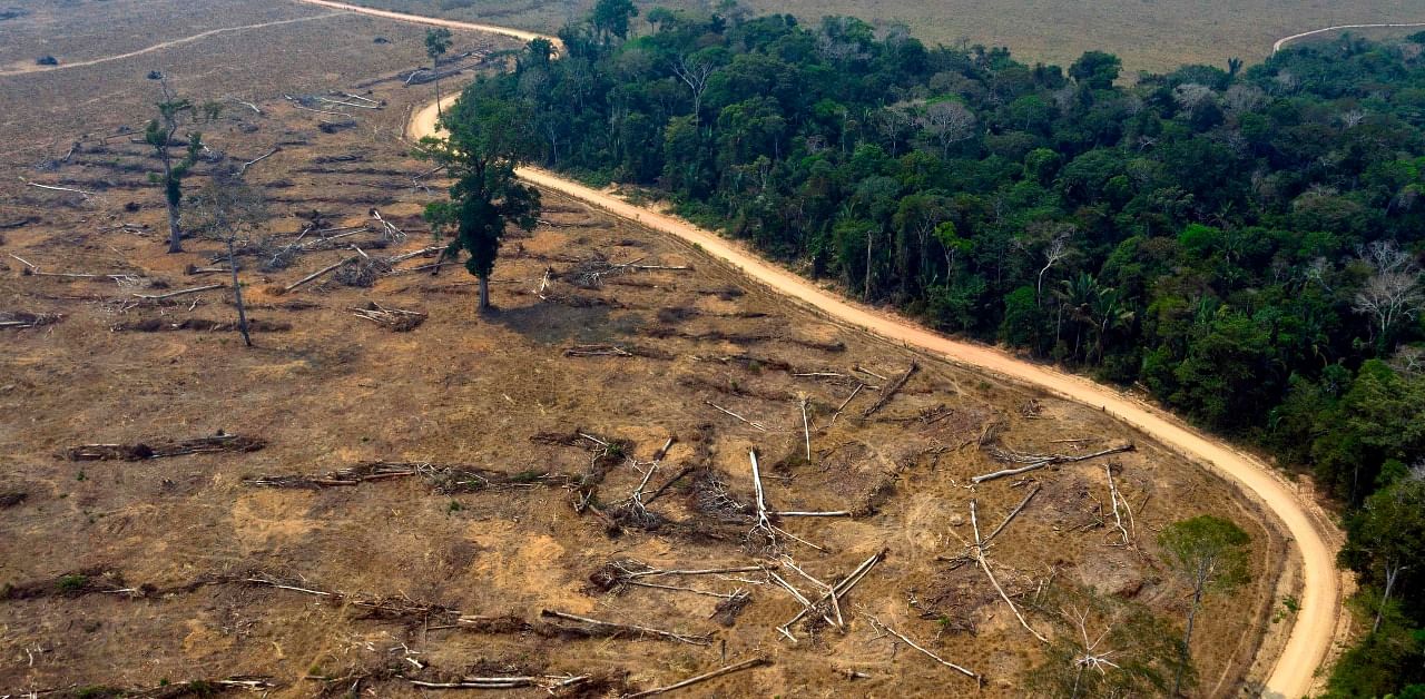 An aerial view of burnt areas of the Amazon rainforest. Credit: AFP Photo