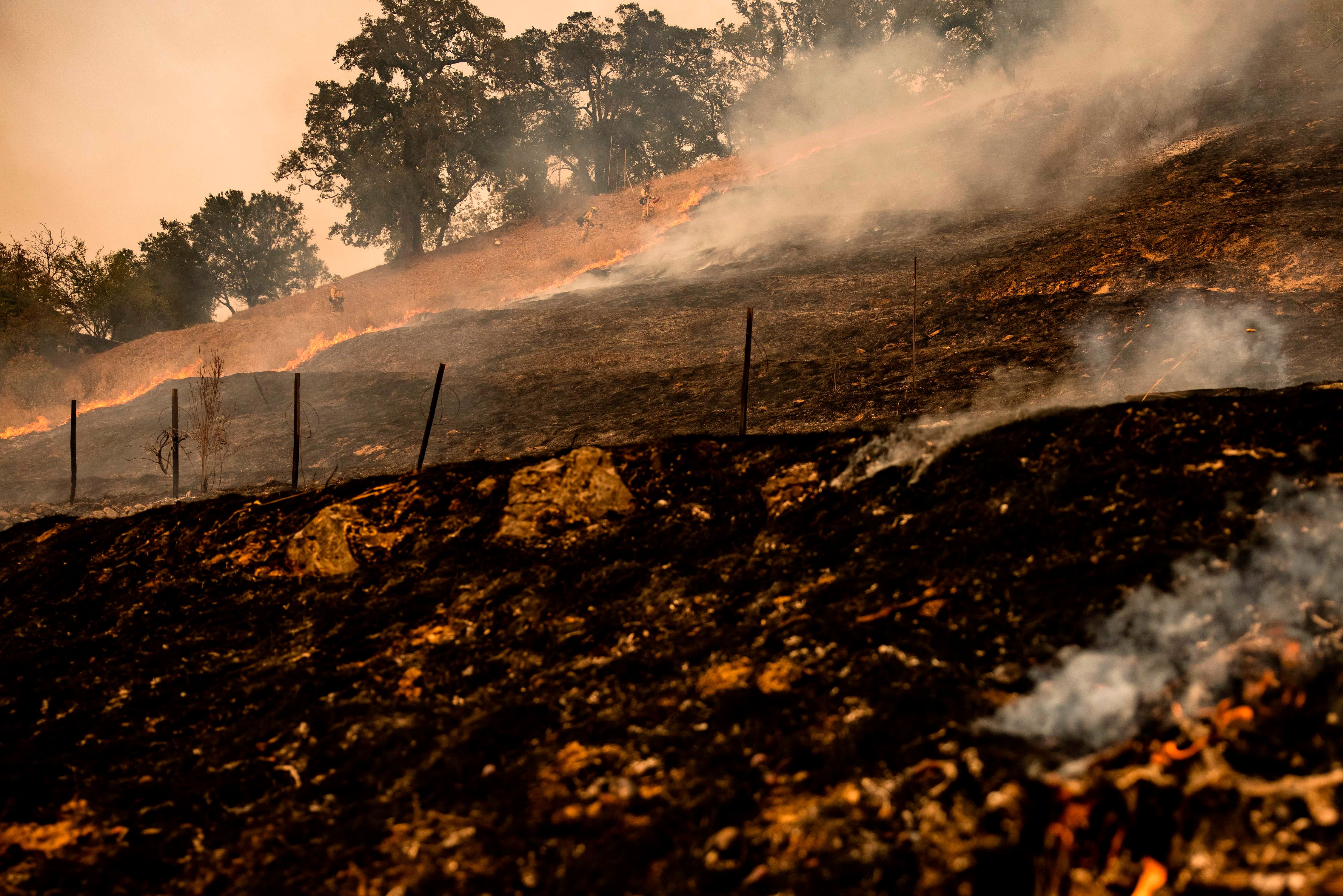 Fire Fighters watch as the edge of the fire creeps across a field towards a fire line they scrapped into the earth with hand tools as the Glass Fire continues to burn in Napa Valley, California. Credits: AFP Photo