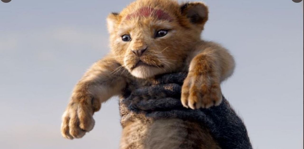 A still from the Lion King movie. Credit: Twitter/@disneylionking