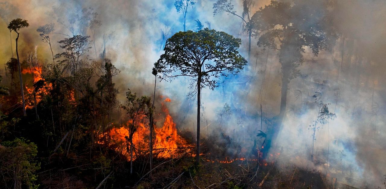 Smoke rises from an illegally lit fire in Amazon rainforest reserve, south of Novo Progresso in Para state, Brazil. Credit: AFP Photo