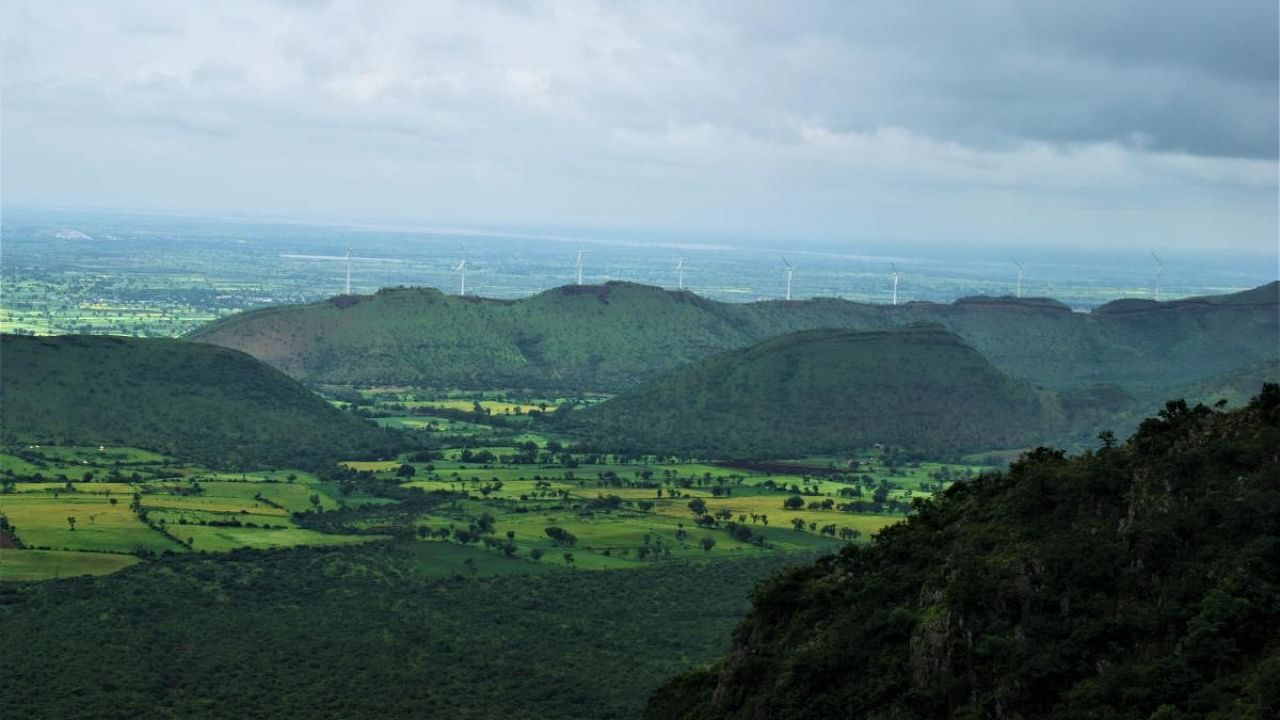 The deciduous forest in Kappatagudda hill range, Gadag district, was declared a wildlife sanctuary in 2019. Credit: DH.