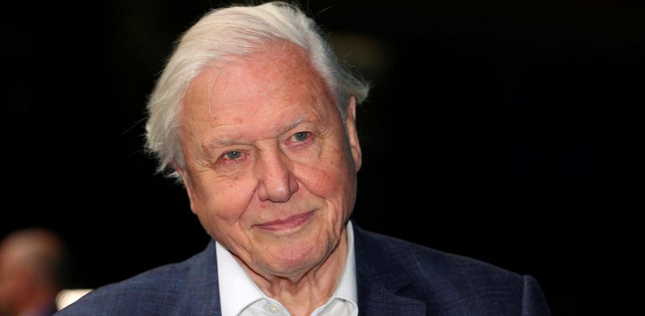 Broadcaster and film maker David Attenborough. Credit: Reuters