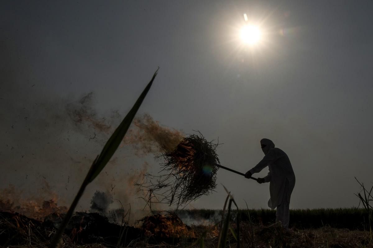 A farmer burns straw stubble after harvesting paddy crops in a field on the outskirts of Amritsar on October 3, 2020. (Photo by NARINDER NANU / AFP)