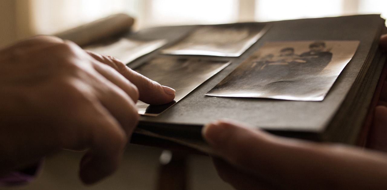 The family tree of humanity is much more interconnected than we tend to think. Credit: iStock