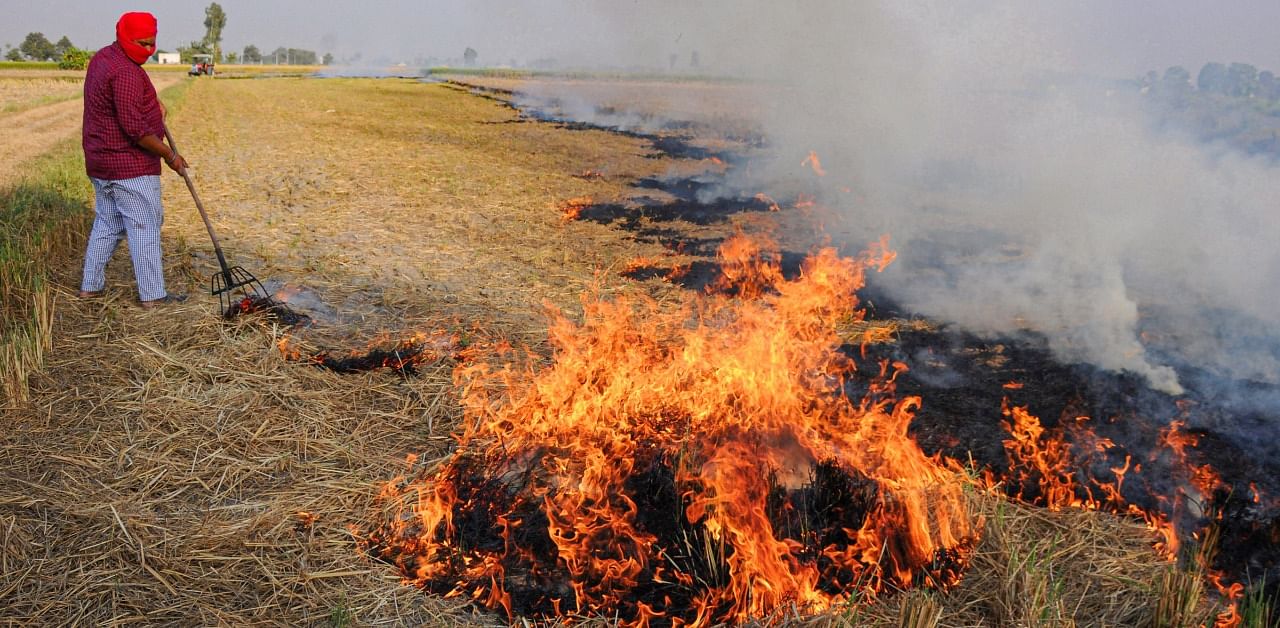 A farmer burns paddy stubble at a farm, on the outskirts of Amritsar. Credit: PTI Photo