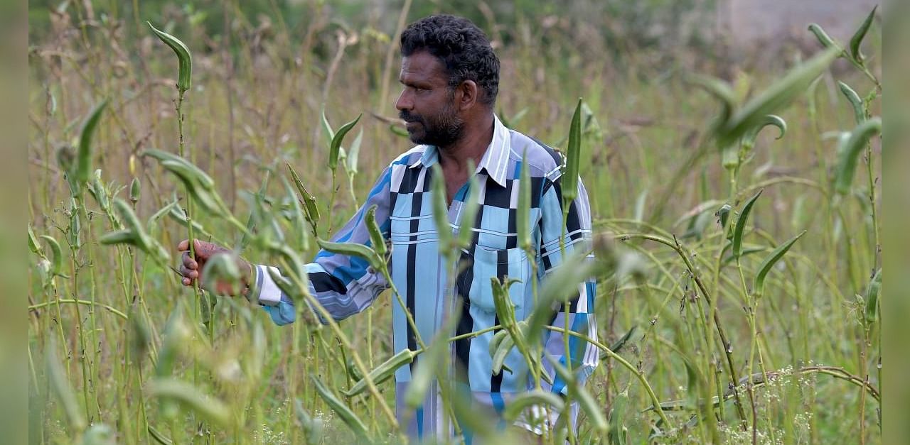 According to an official release, the chief minister has made it clear that paddy would be purchased in full scale at the village level. Credit: AFP Photo