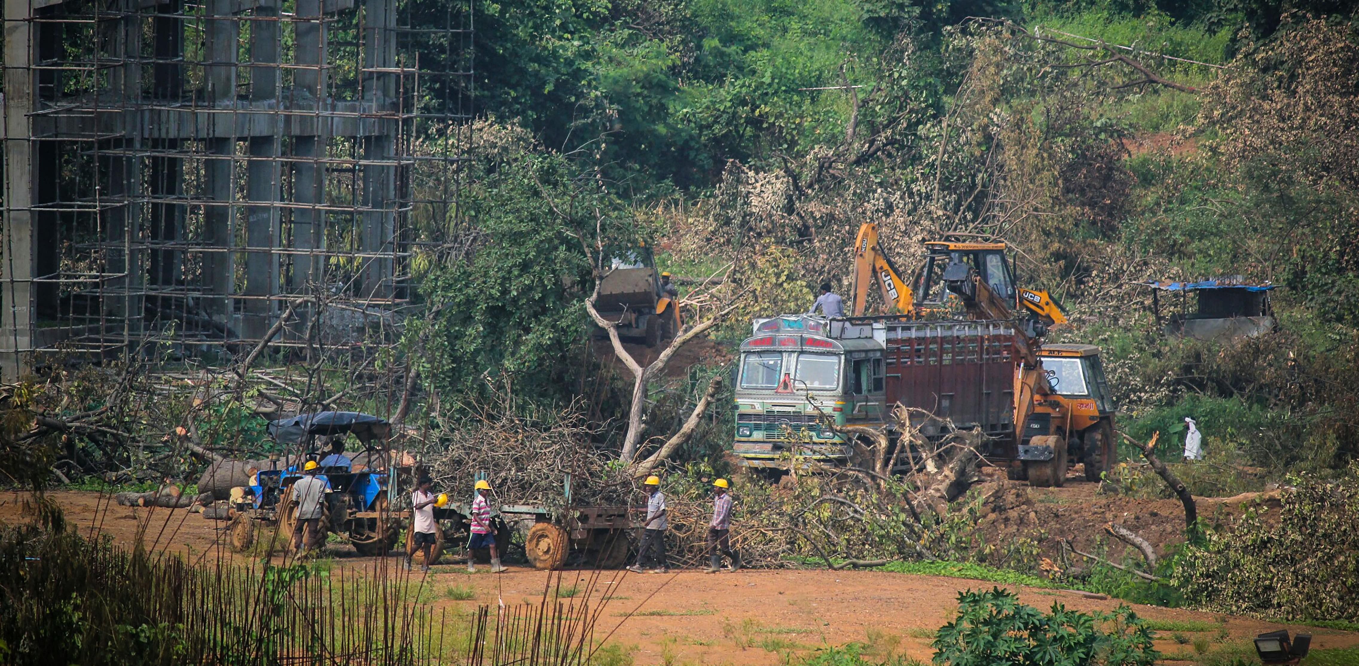 A tractor carries away the fallen trees for building a construction site of metro car parking shed at Aarey Colony, Mumbai, Monday, Oct. 7, 2019.  Credit: PTI