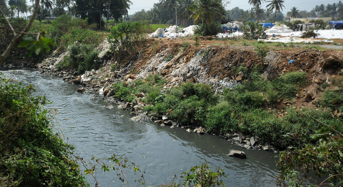 Local residents often complain about plastic and garbage strewn along the banks of the Vrishabhavathi river. DH FILE/Pushkar V