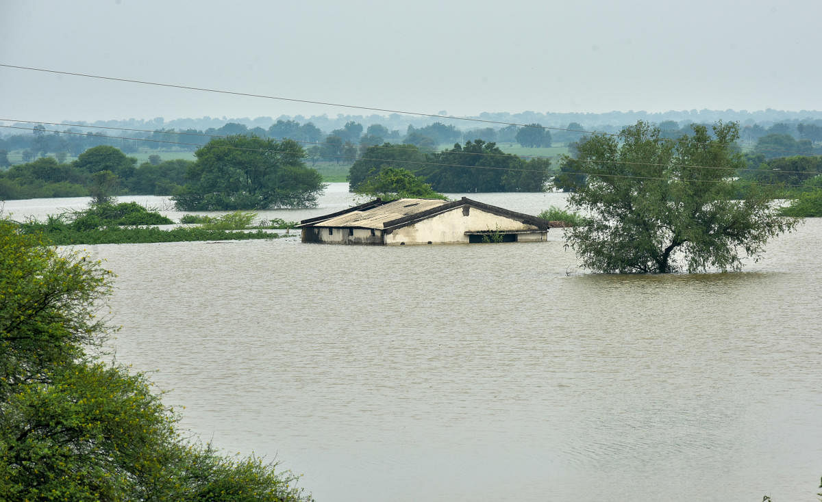Vast tracts of land under water as river Bhima is in spate in Saradagi village of Kalaburagi district on Friday. DH Photo/Prashanth H G