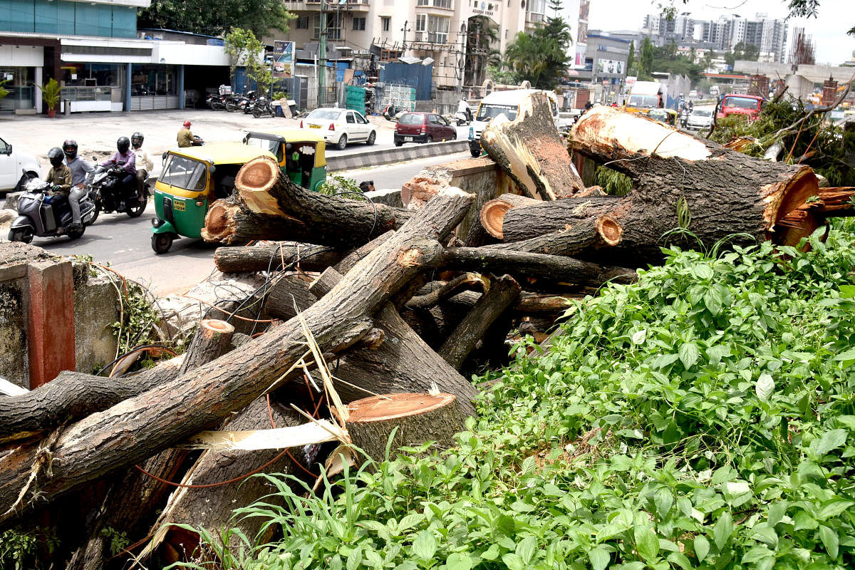   Trees are cutting for Namma Metro rail line construction at Bannerghatta road in front of Fire station in Bengaluru on Wednesday, 10 June 2020. Credit: DH File Photo/S K Dinesh