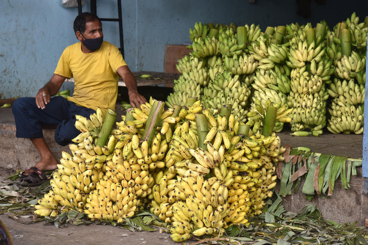 A wholesale banana shop. DH FILE PHOTO