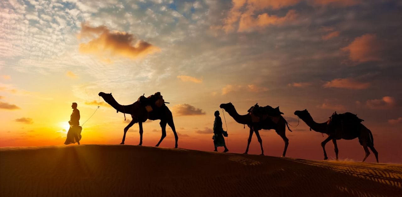 A river running through the central Thar Desert would have offered an important corridor for migrations. Credit: Getty Images