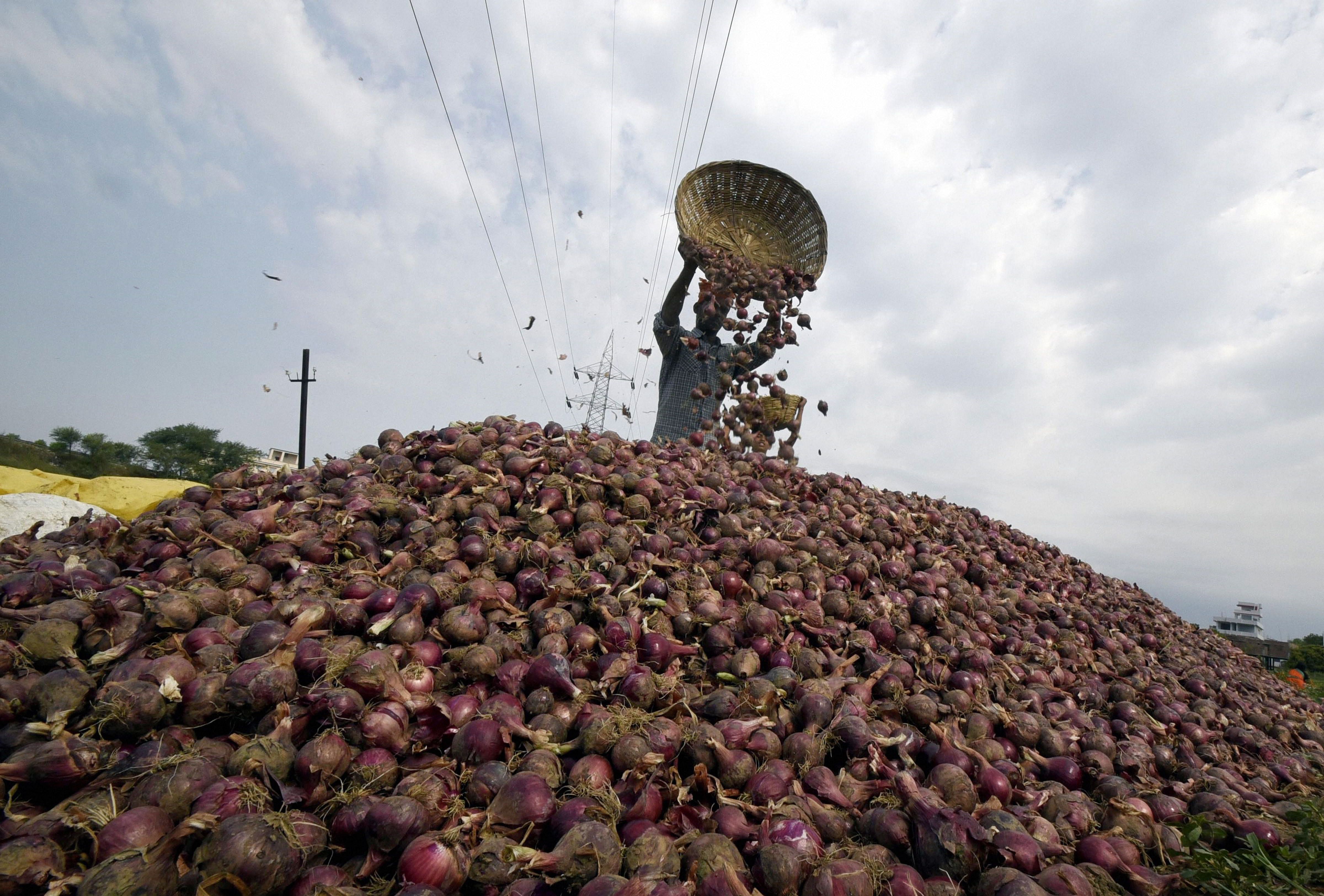 Normally, prices come under pressure during this time in consuming areas but rains have created havoc in key producing areas, adding to supply woes. Credit: PTi