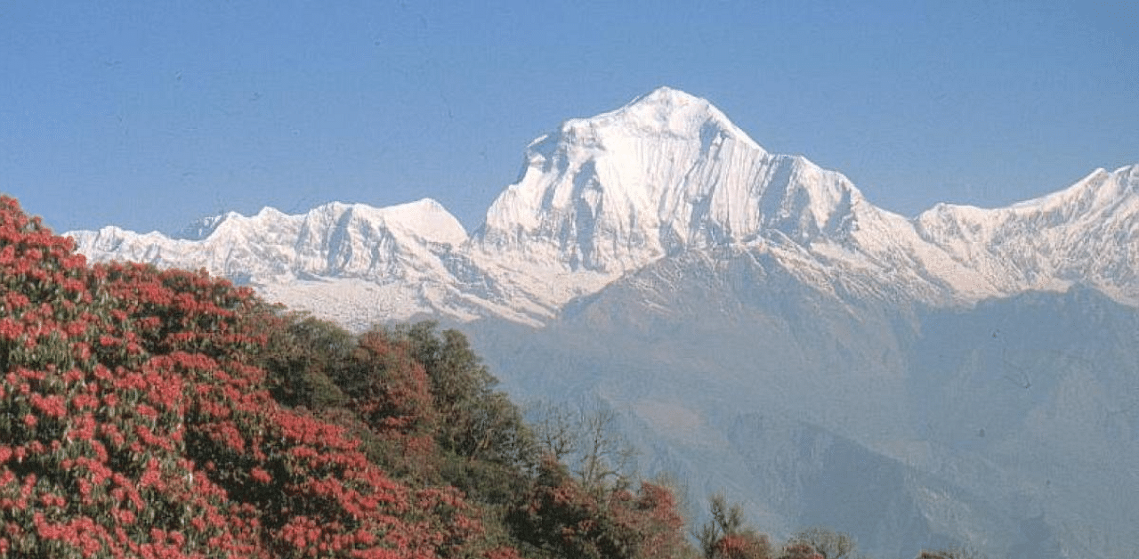 The Himalayas. Credit: DH