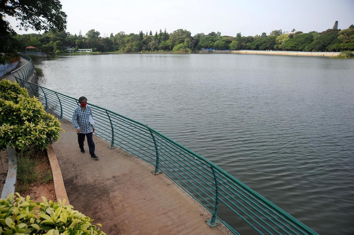 The tank, a lung space for the residents of Malleswaram and surrounding areas, is known for its scenic beauty. DH FILE/Pushkar V