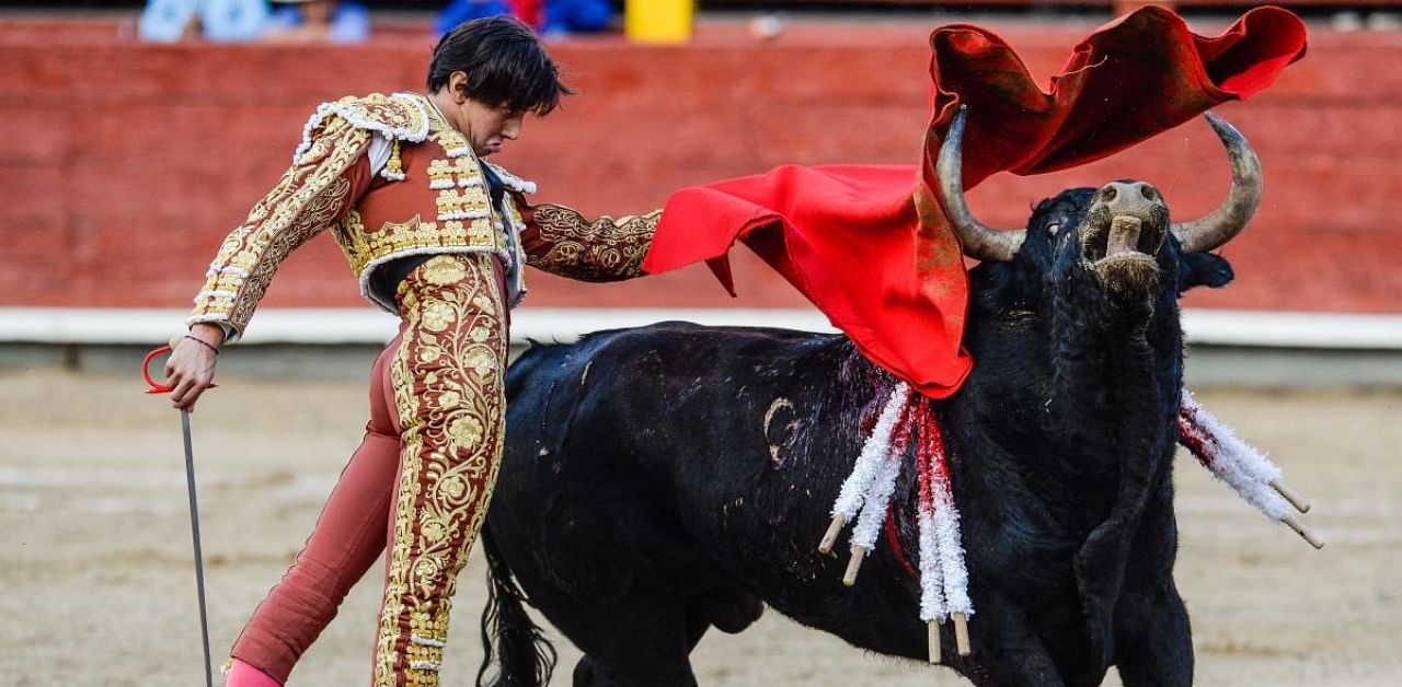 Peru's bullfighter Andres Roca Rey performs in 2016 during the "Senor de los Milagros" festival in Lima. Credit: AFP Photo