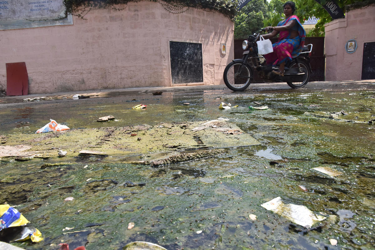 Doctors warn of a spurt in waterborne diseases due to stagnant rainwater (like seen in pic). Credit: DH File Photo/Janardhan B K