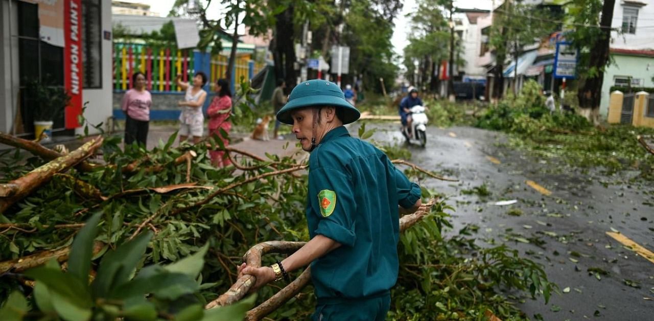 A civil defence personnel clears uprooted trees from the middle of a road in central Vietnam's Quang Ngai province. Credit: AFP