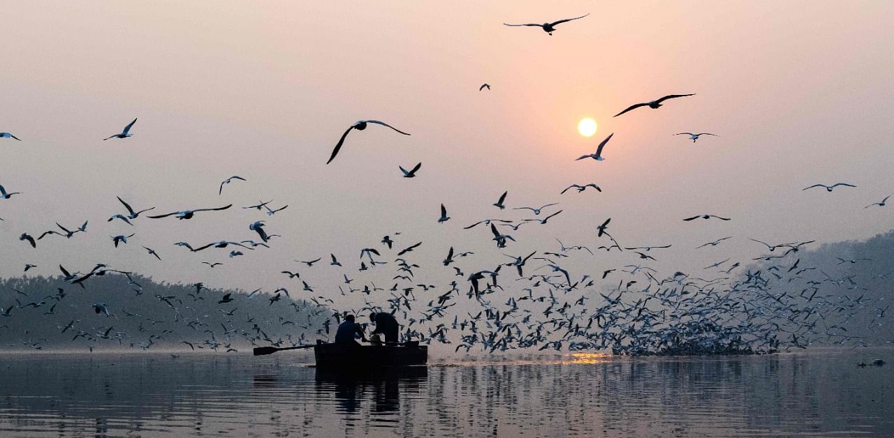 People ride on a boat near the banks of the Yamuna River during a smoggy morning at sunrise in New Delhi. Credit: AFP Photo