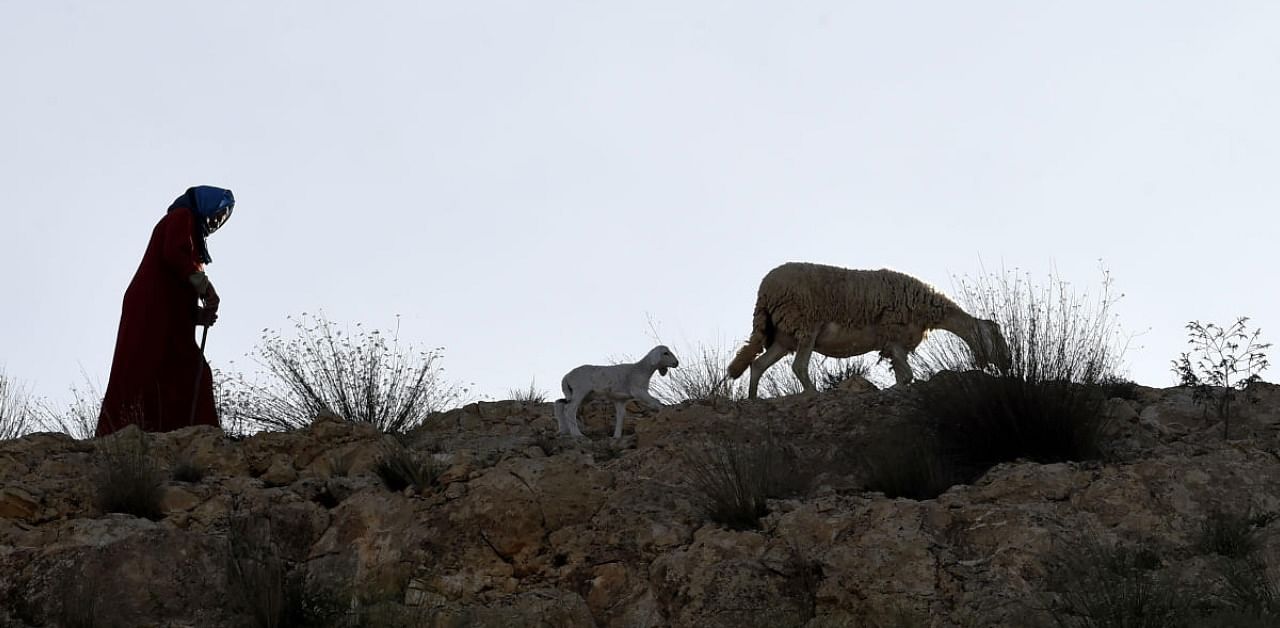 This city, cradle of the Tunisian and Arab revolution, remains the poorest region of Tunisia. Credit: AFP Photo