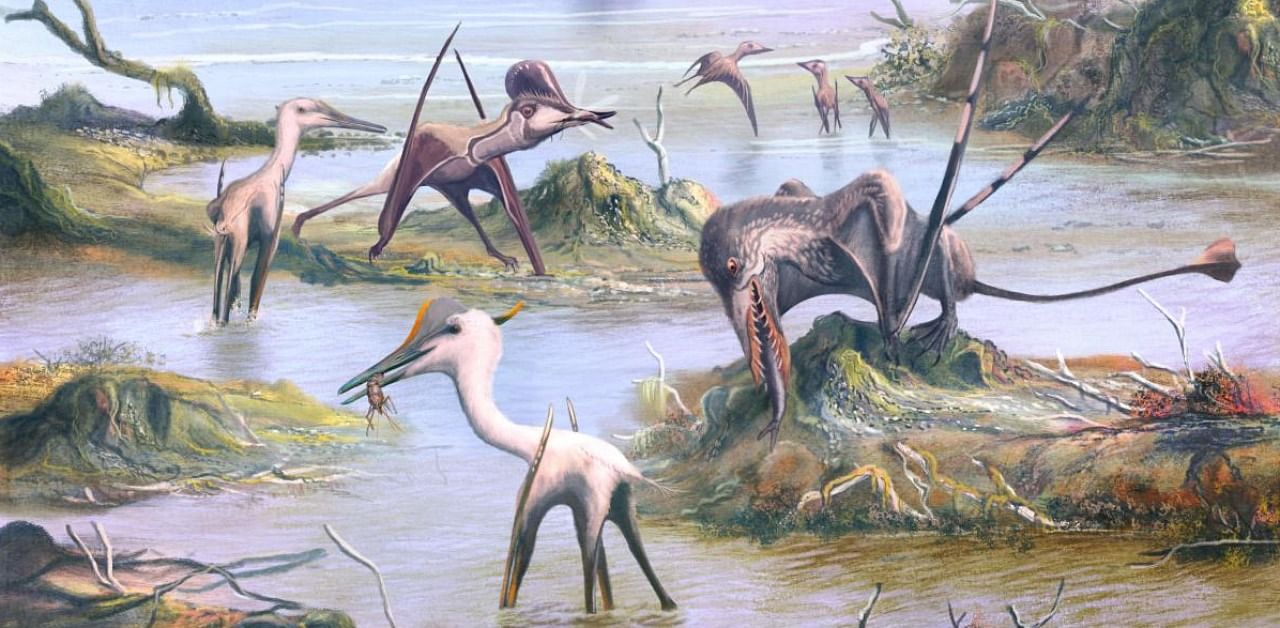 This handout picture released by the University of Birmingham on October 28, 2020, shows an artist's impression of a scene from southern Germany 150 million years ago, depicting the varied diets of pterosaurs. Credit: AFP/WITTON / UNIVERSITY OF BIRMINGHAM.