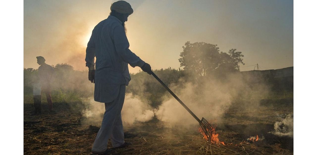 A farmer burns paddy stubble, in Rupnagar district. Credit: PTI