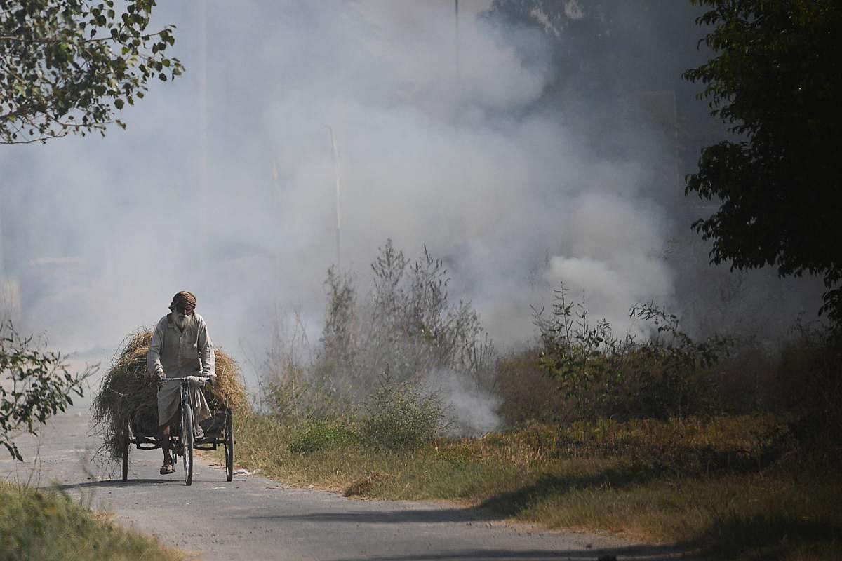 Stumble burning in North India is one of the largest contributors to air pollution in the region. Credits: AFP Photo