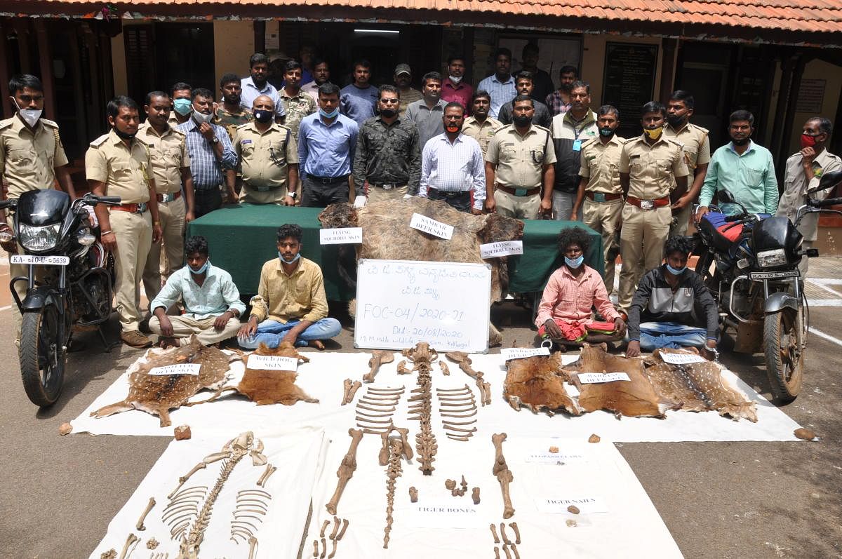 Forest department personnel seen with recovered animal parts and the accused, during a raid conducted in Chamarajanagar district recently. DH PHOTO
