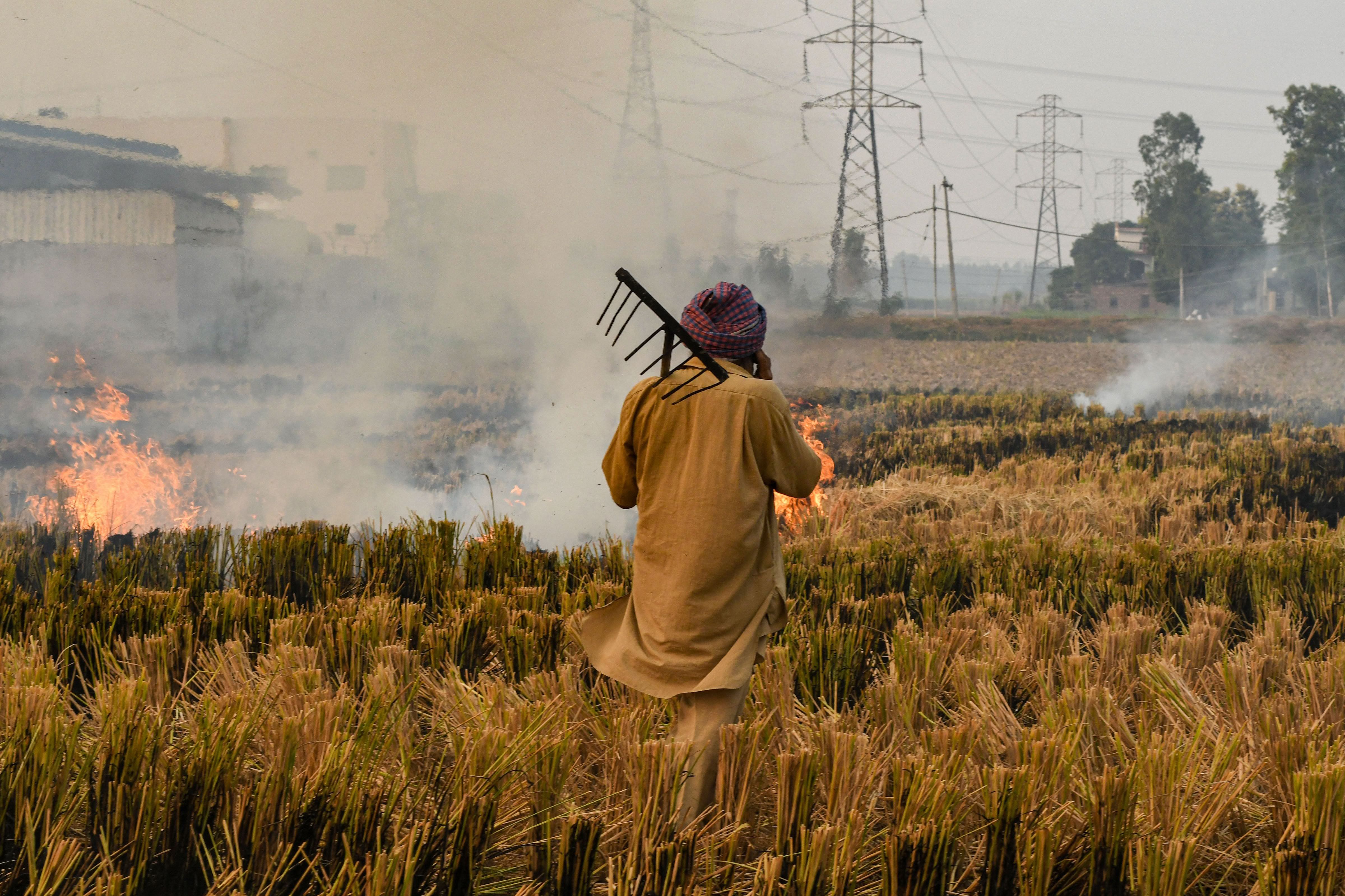 A farmer burns paddy stubbles in a field along the National Highway 205, in Rupnagar district. Credits: PTI Photo