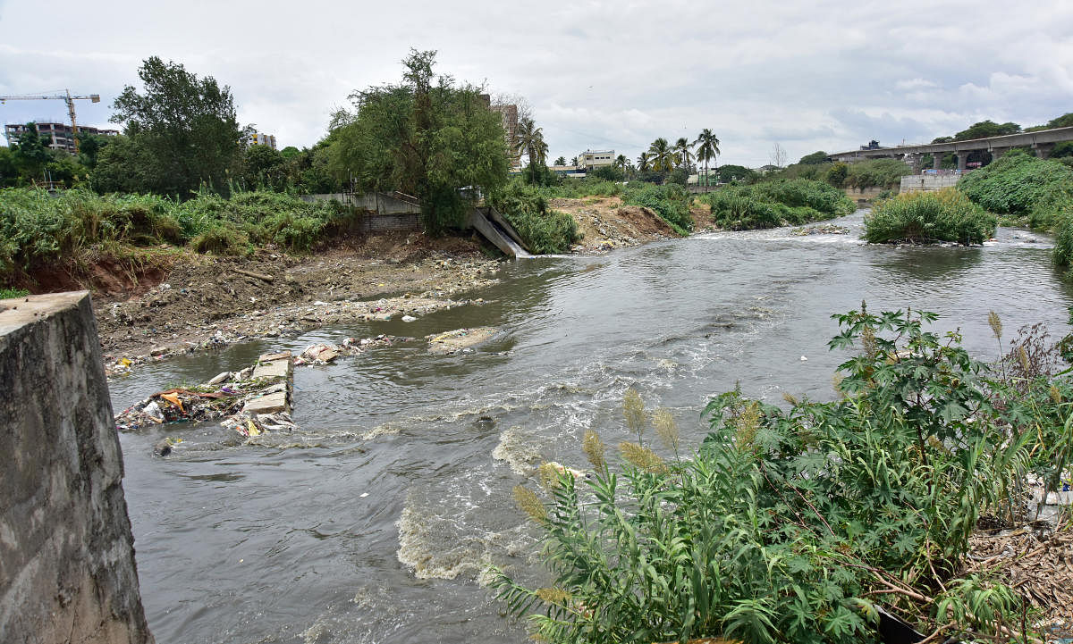 Vrushabhavathi River, which flows through southern and western Bengaluru, has become highly polluted by industrial and domestic effluents. DH FILE PHOTO