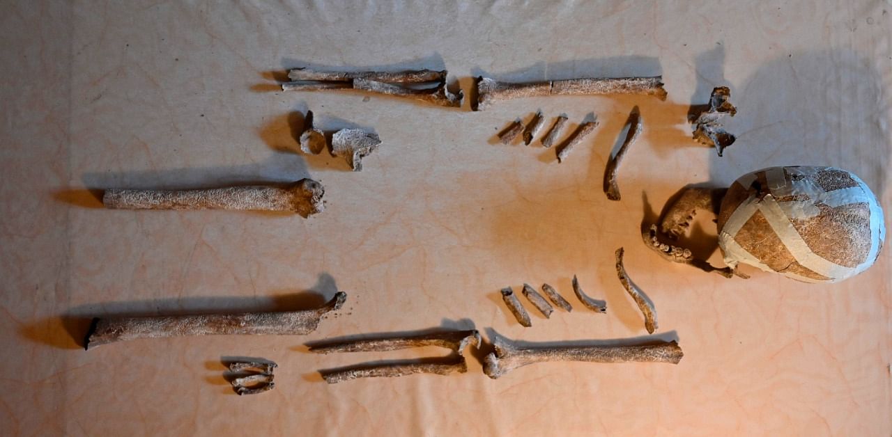Discovered in May 2020 near the village of Bietikow in northern Brandenburg during excavation for a wind turbine, the skeletal remains of a woman aged 35 to 40 are thought to be 5.000 years old. Credit: AFP Photo