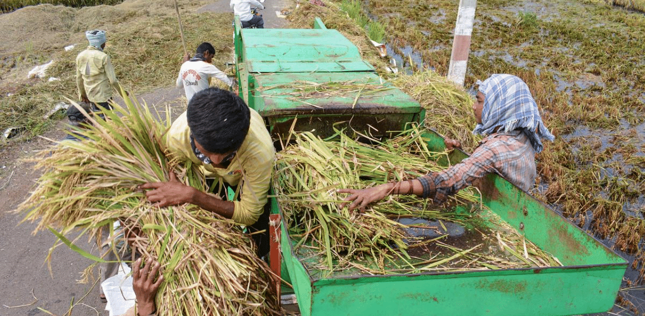  Representative Image. Credit: PTI Photo