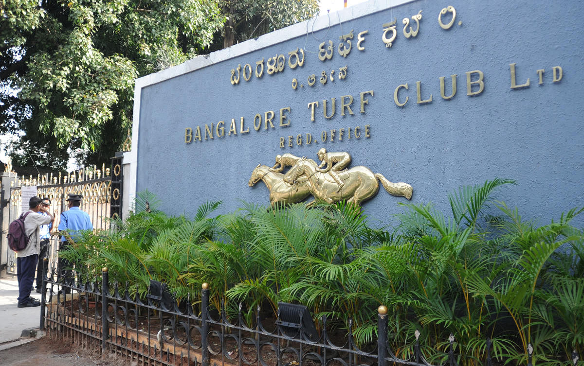 According to a petition, the Bangalore Turf Club has put down 40 horses in the past six months. DH FILE/Pushkar V
