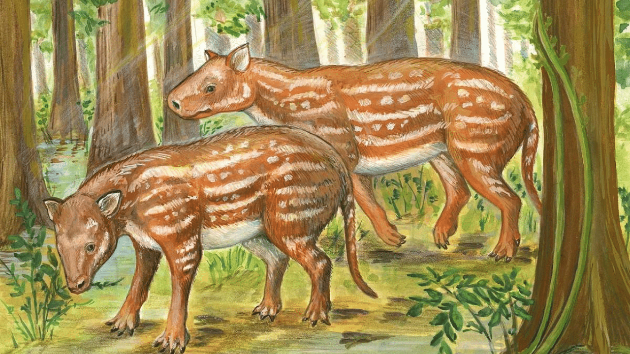 Life Reconstruction of Cambaytherium (Artwork by Elaine Kasmer)